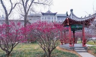 山东大学趵突泉校区
